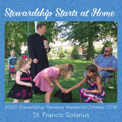 2020 Stewardship
