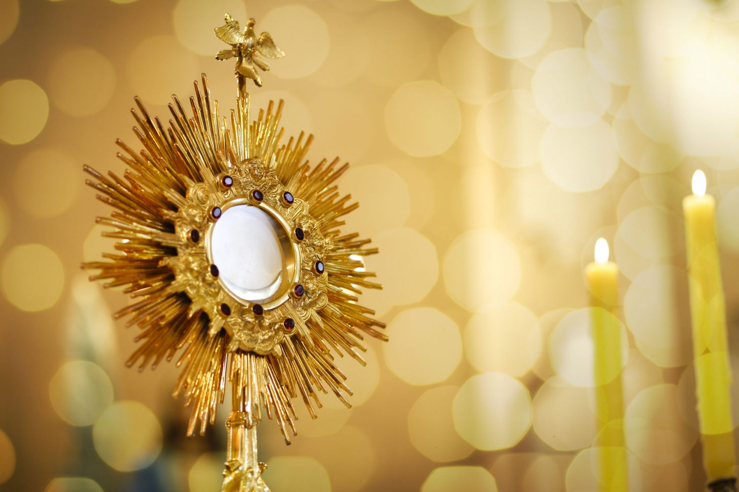 Lenten Adoration And Benediction St Francis Solanus Quincy IL